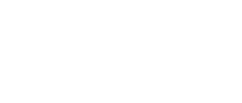 light logo